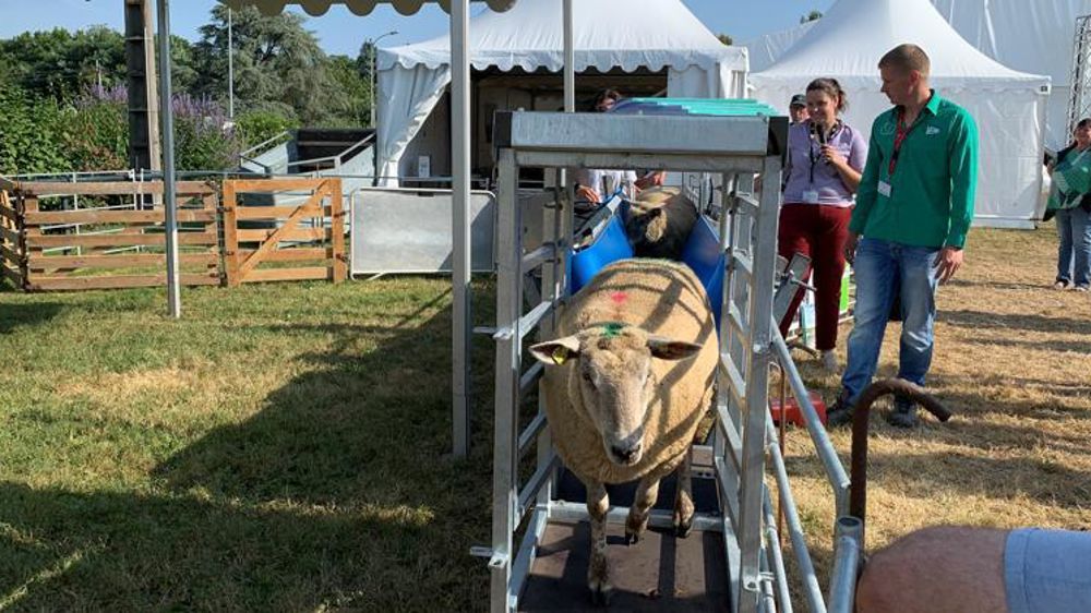 À Tech-Ovin 2021 à Bellac (Haute-Vienne), la contention occupait une large part des stands. © M.-F. M./GFA